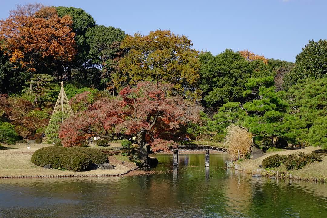 Rikugien Gardens